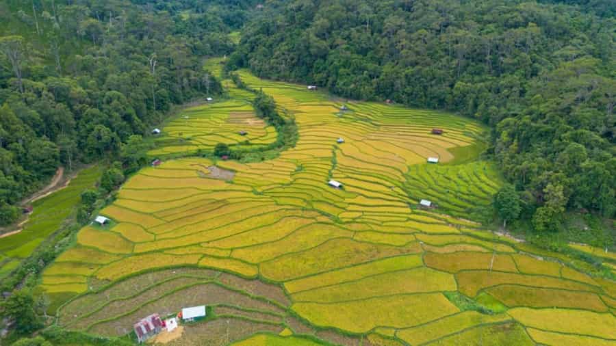 Hidden Villages and Terraced Fields