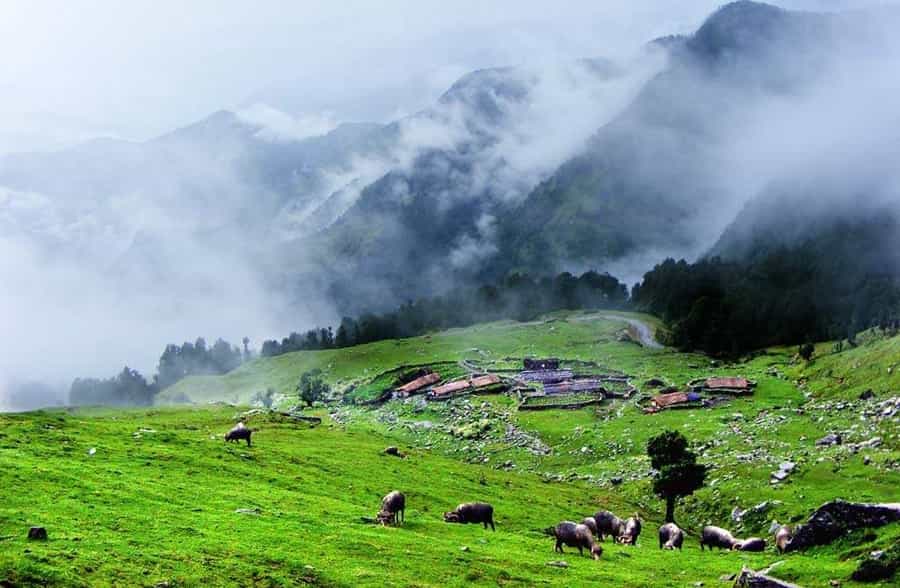 Picturesque Green Valleys